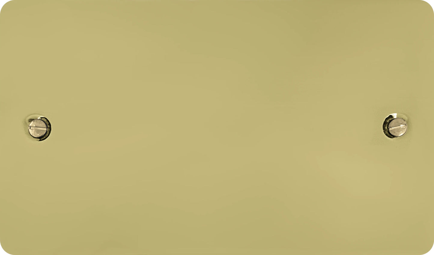 Flat Polished Brass 2 Gang Blank Plate