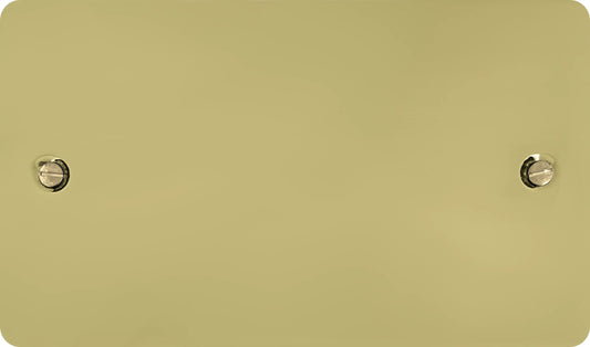 Flat Polished Brass 2 Gang Blank Plate