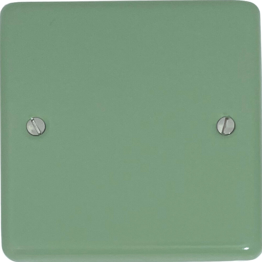 Classic Sage Green 1 Gang Blank