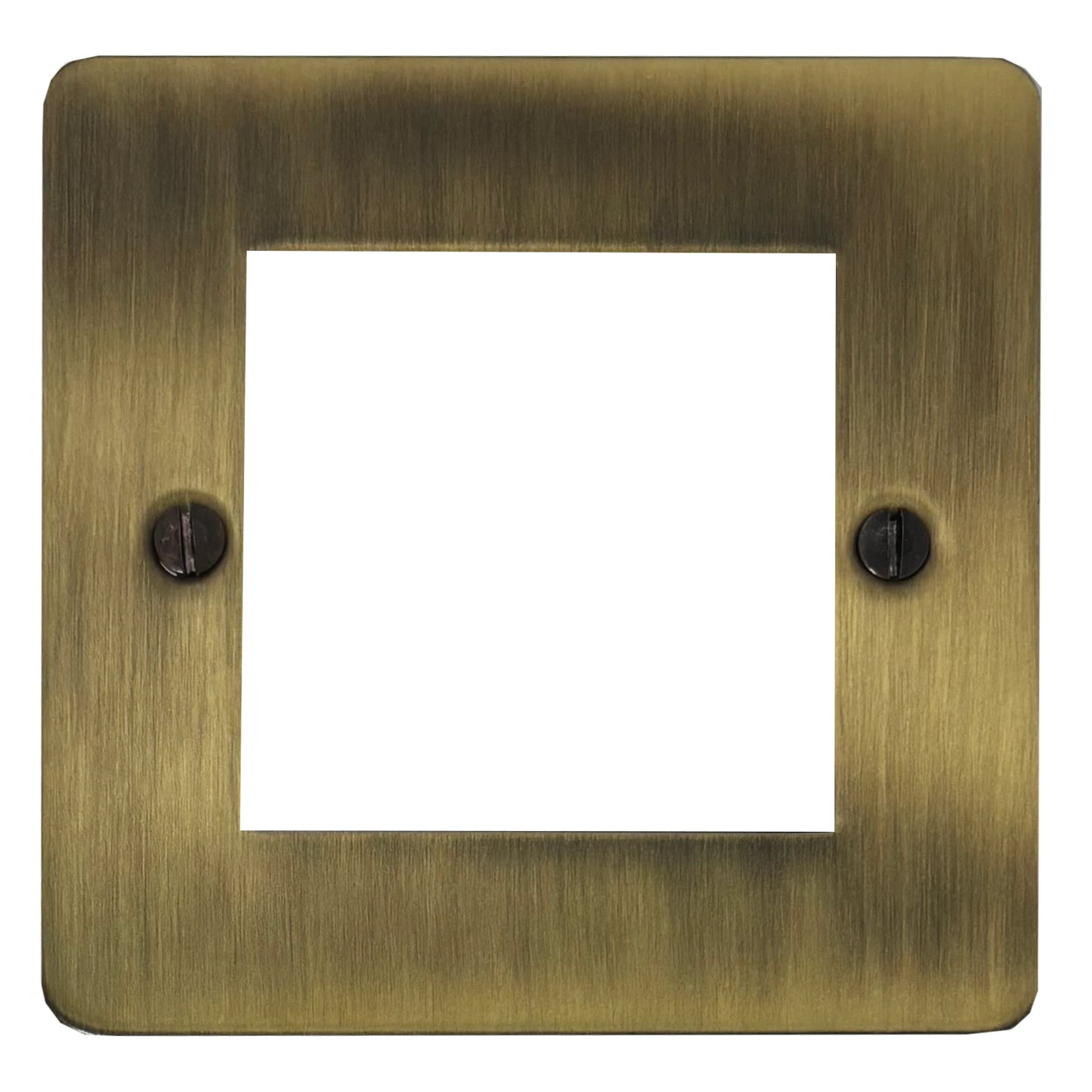 Flat Light Antique Brass 1 Gang 2 Mod Plate & Frame