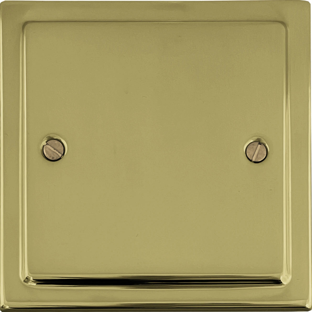 Victorian Polished Brass 1 Gang Blank
