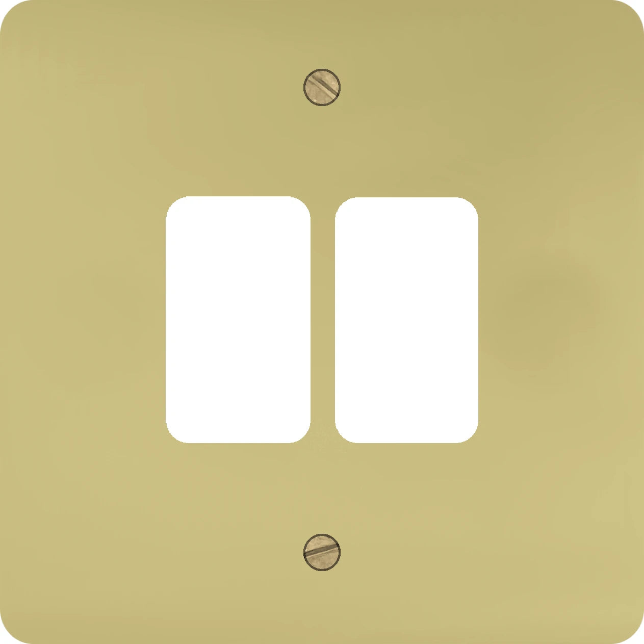 Flat Polished Brass 2 Gang Grid Plate