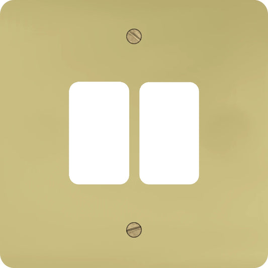 Flat Polished Brass 2 Gang Grid Plate
