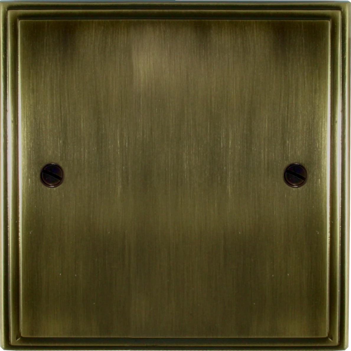 Victorian Antique Brass 1 Gang Blank