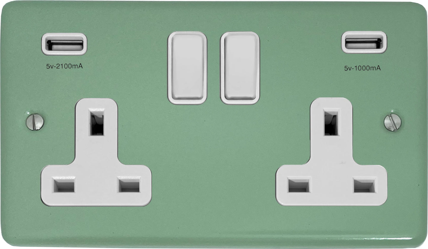 Classic Sage Green 2 Gang Socket with USBC (White Switches)