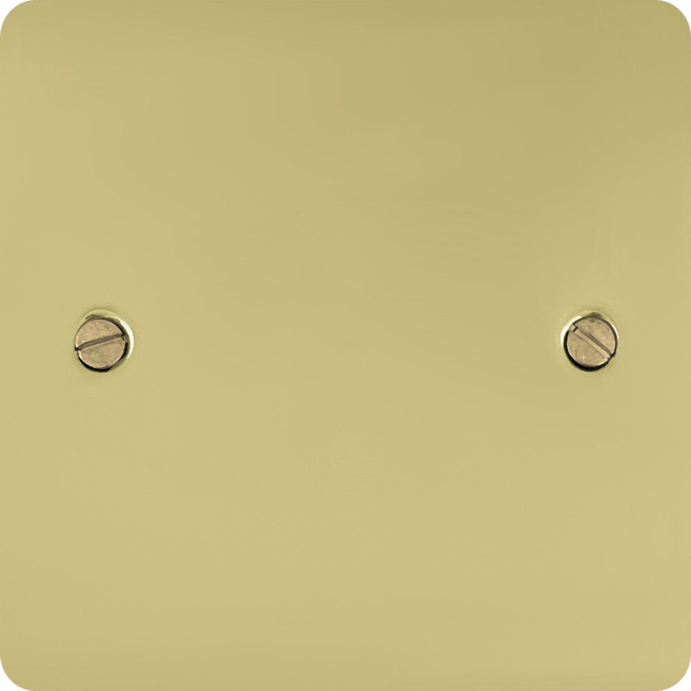 Flat Polished Brass 1 Gang Blank