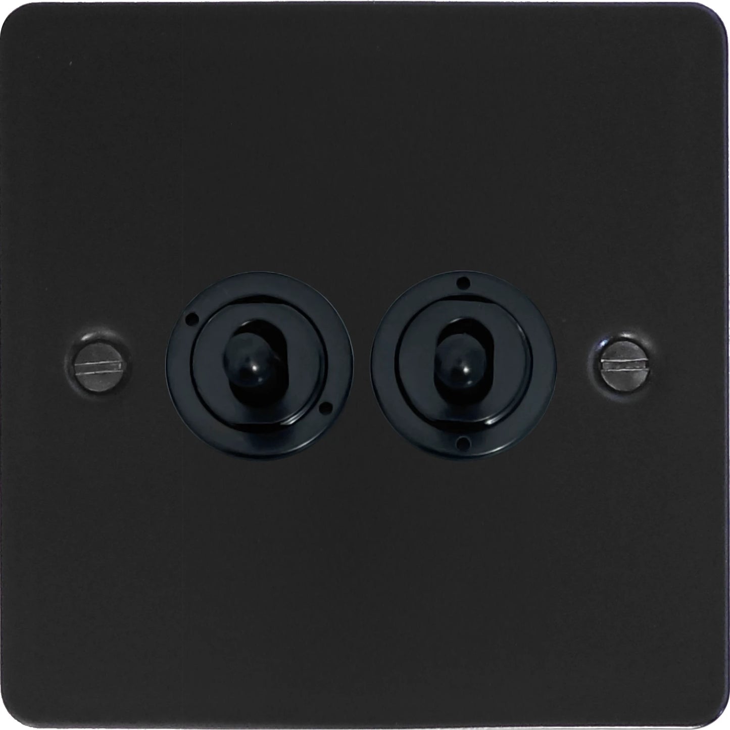Flat Black 2 Gang Toggle Switch (Flat Black Toggle)