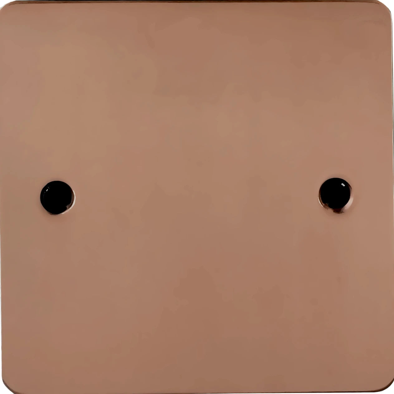Flat Bright Copper 1 Gang Blank