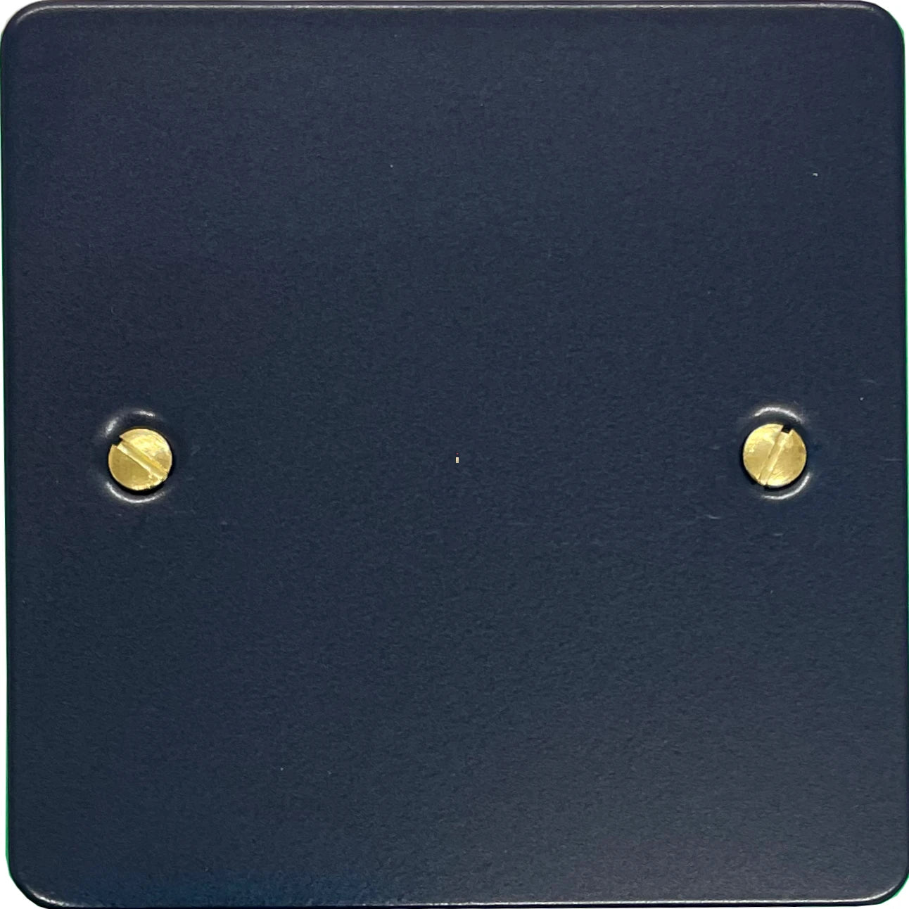 Flat Blue 20 Amp DP Switch and Neon (Polished Brass Switch/Black Insert)