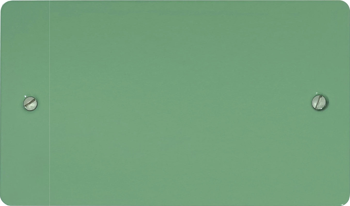 Flat Sage Green 2 Gang Blank