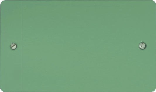 Flat Sage Green 2 Gang Blank